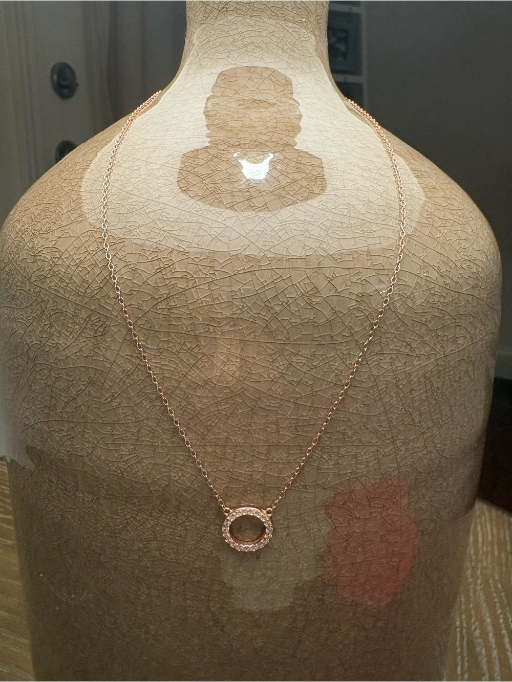Francesca's Collections Rose Gold Circle Pendant Necklace